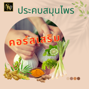 ประคบสมุนไพร